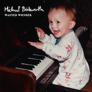 Michael Brinkworth: Wasted Wonder